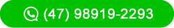 (47) 98919-2293
